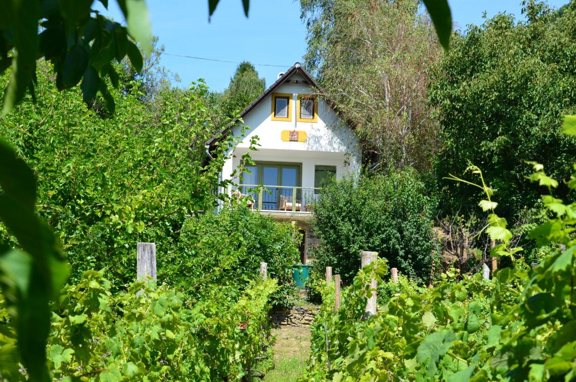 Grand Cru 3. Vendeghaz Villa Hegymagas Exterior foto